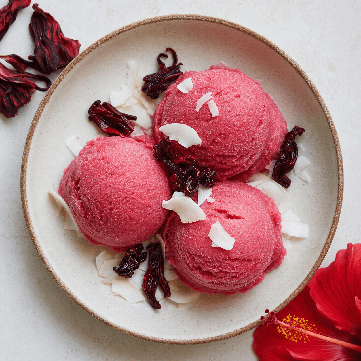 Classic Hibiscus Coconut Sorbet