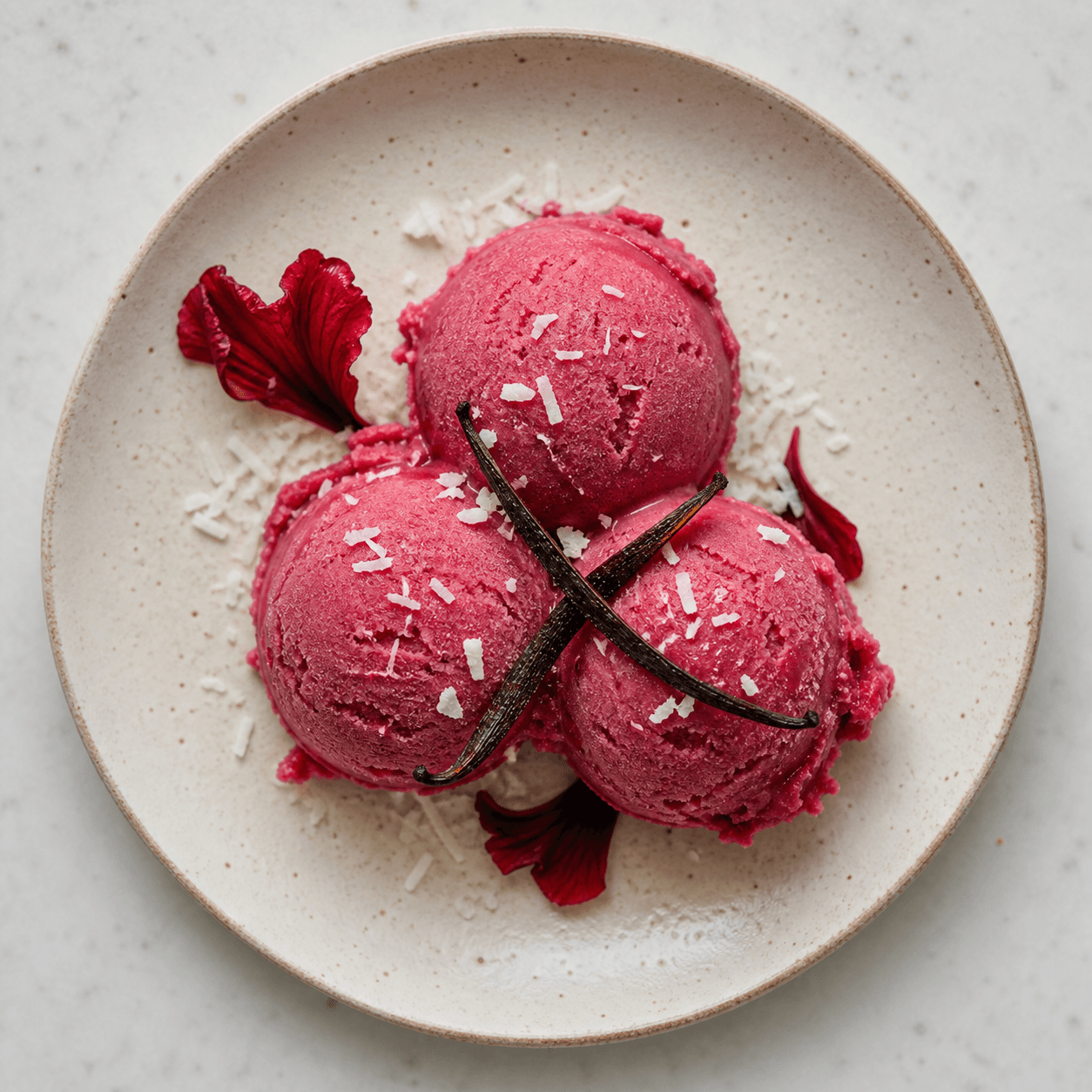 Hibiscus Coconut Sorbet with Vanilla Bean